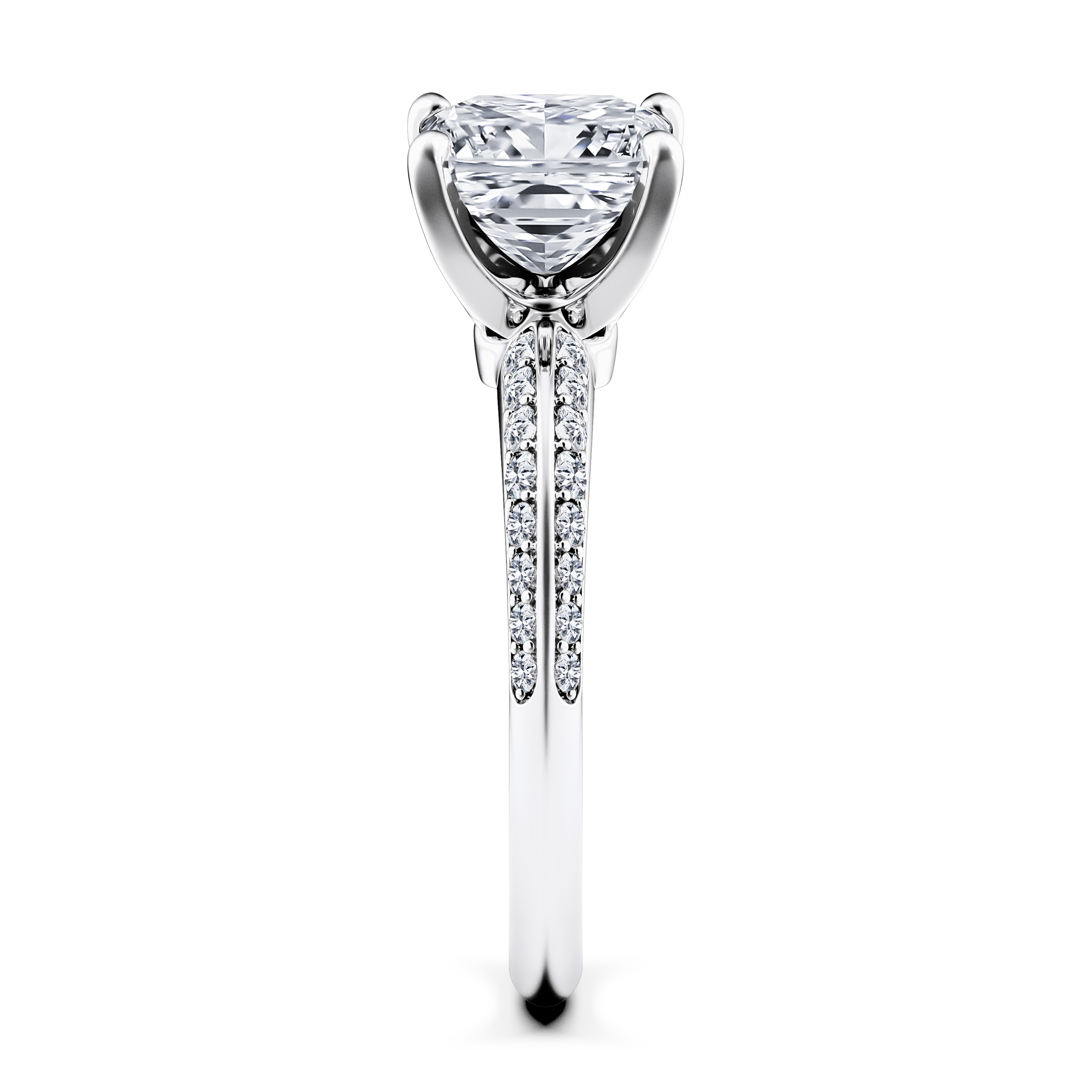 The Moon Ocean Side Stones Diamond Engagement Ring in Platinum with Princess Centre Stone Alternate shot 3