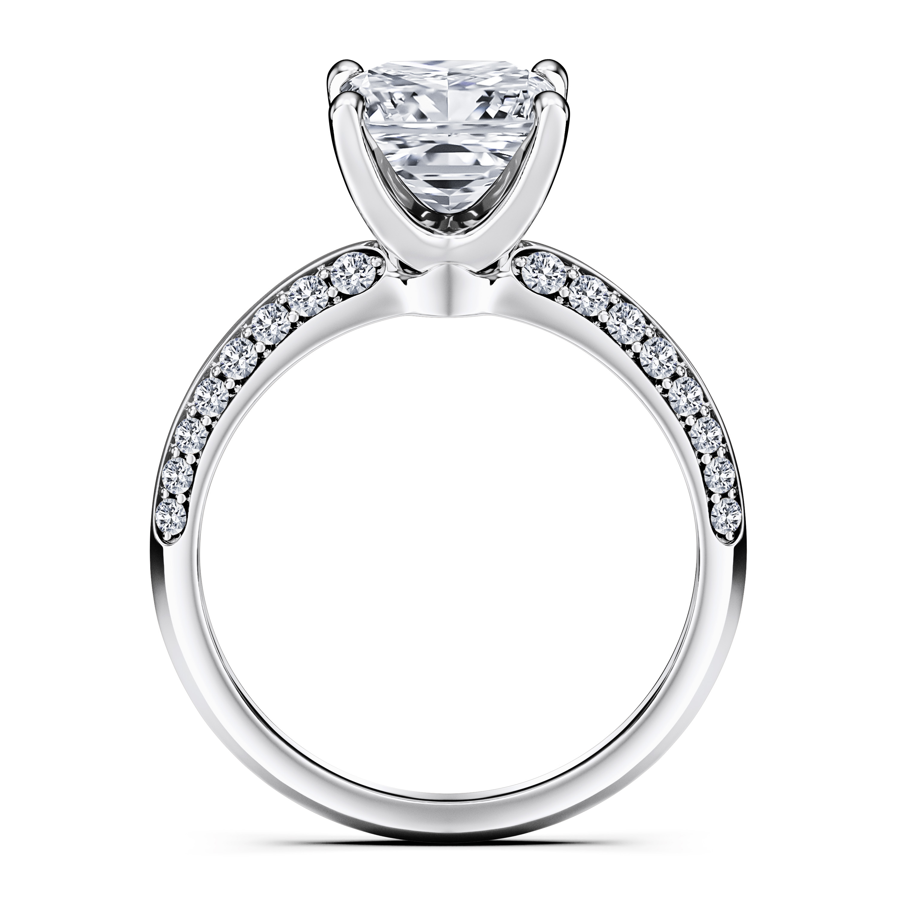 The Moon Ocean Side Stones Diamond Engagement Ring in Platinum with Princess Centre Stone Alternate shot 4