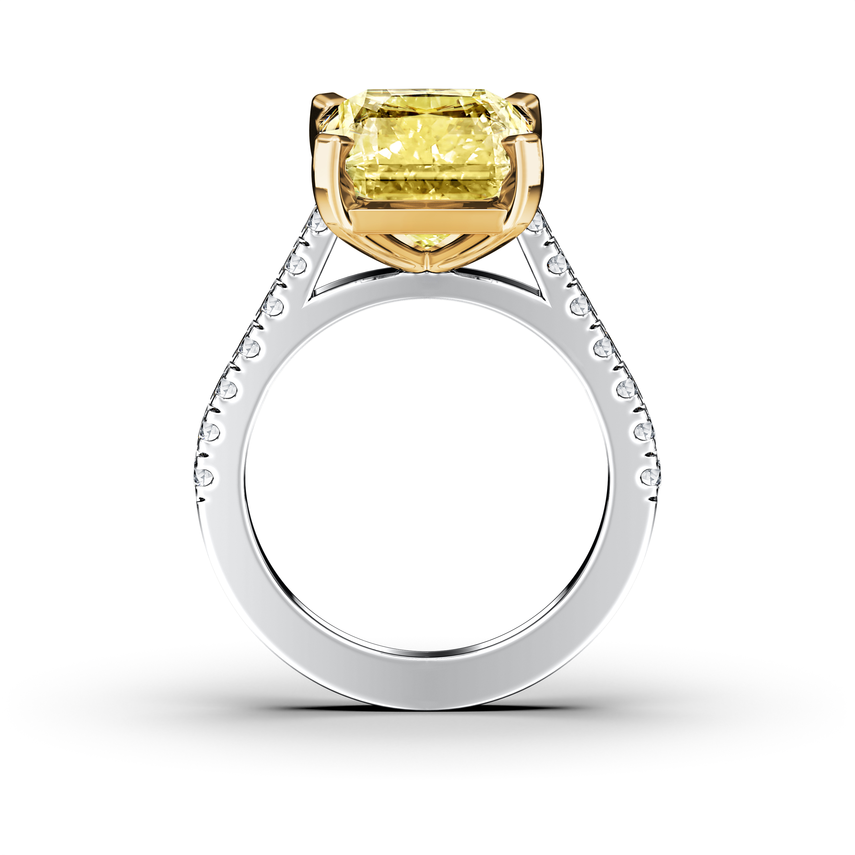 The Moon Ocean Side Stones Diamond Engagement Ring in Platinum with Radiant Centre Stone Alternate shot 3