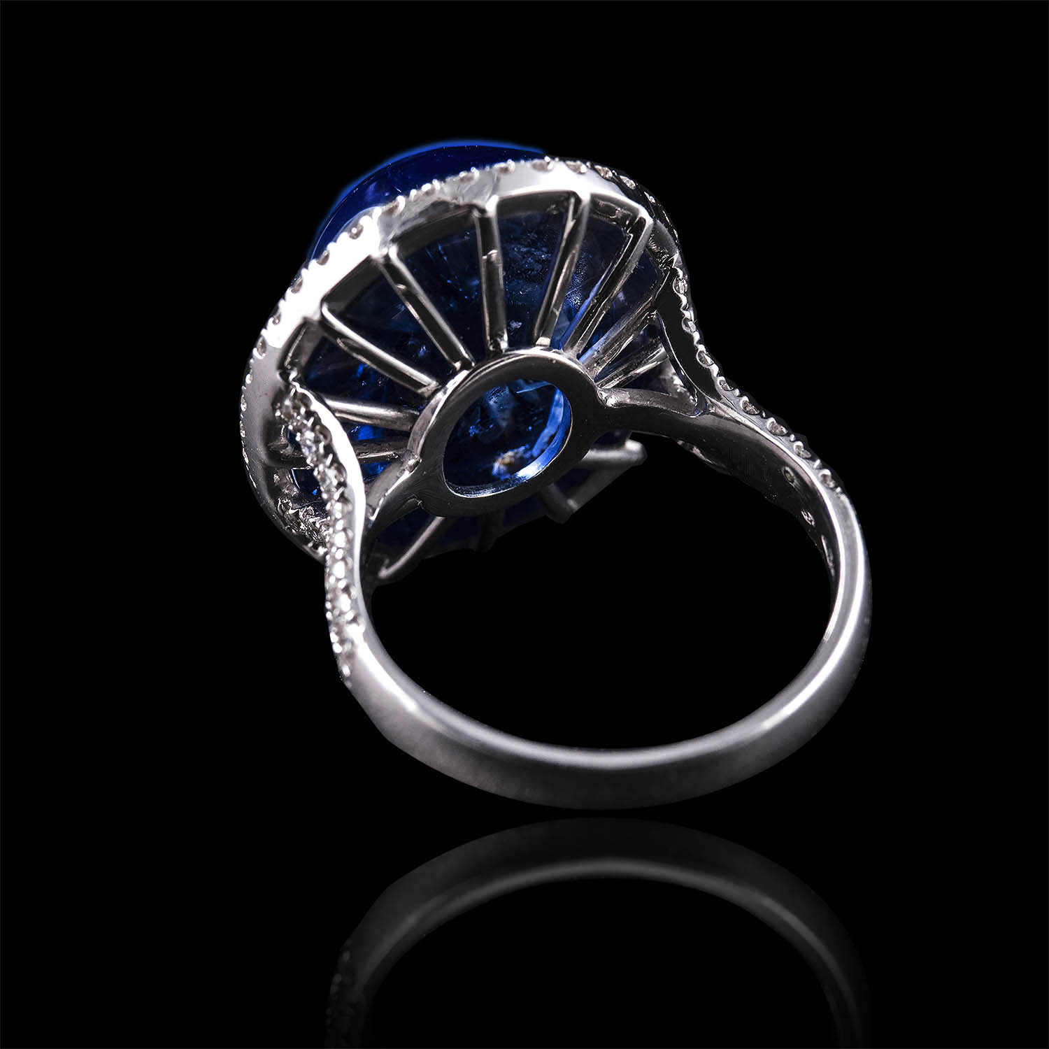 The Moon Ocean Halo Rings in Platinum with Oval Centre Stone Alternate shot 4