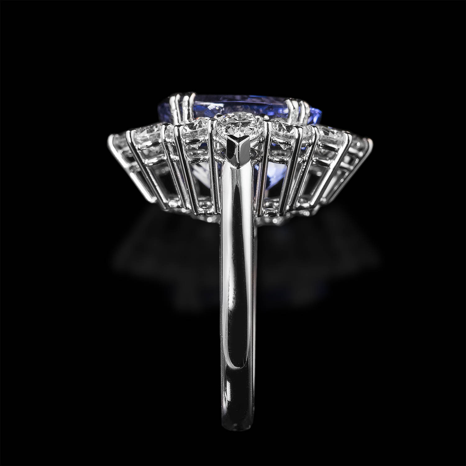 The Moon Ocean Halo Rings in Platinum with Oval Centre Stone Alternate shot 2