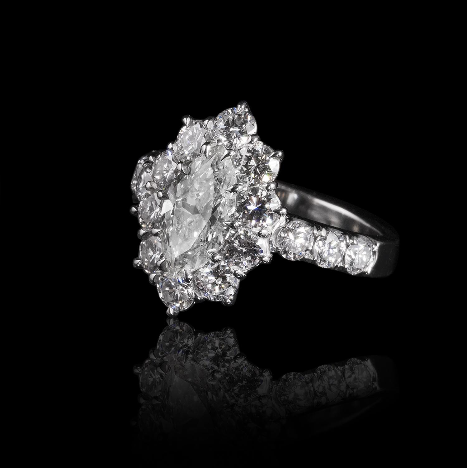 The Moon Ocean Rings in Platinum with Oval Centre Stone Alternate shot 2