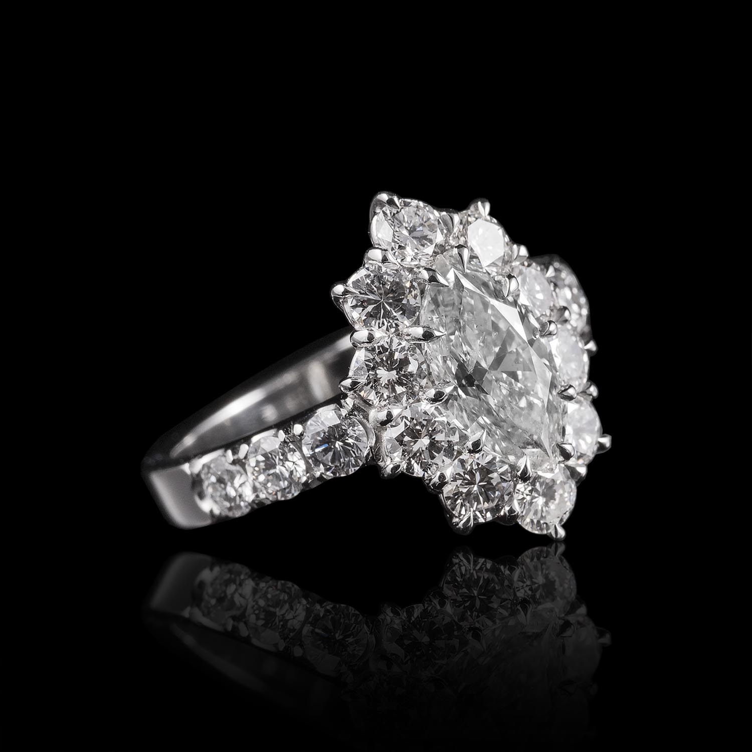The Moon Ocean Rings in Platinum with Oval Centre Stone Alternate shot 3
