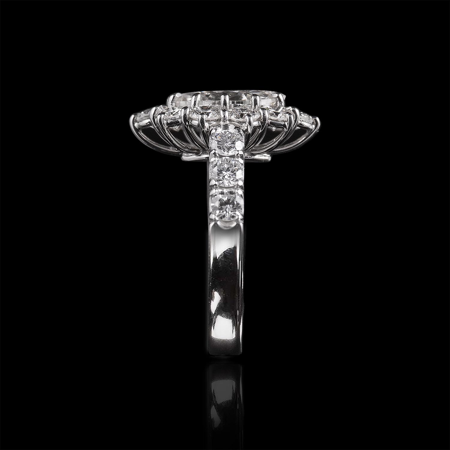 The Moon Ocean Rings in Platinum with Oval Centre Stone Alternate shot 4