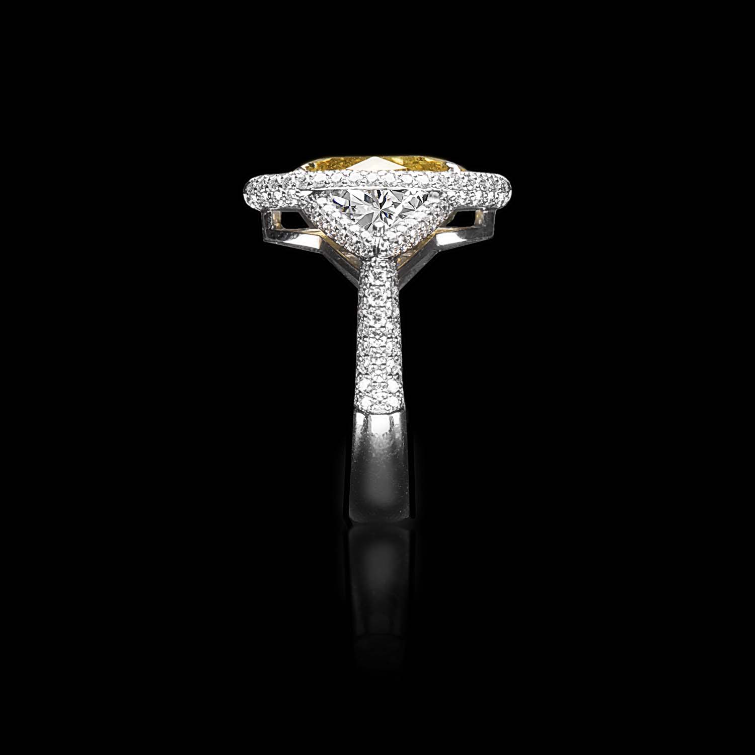 The Moon Ocean Halo Rings in Platinum with Marquise Centre Stone Alternate shot 3