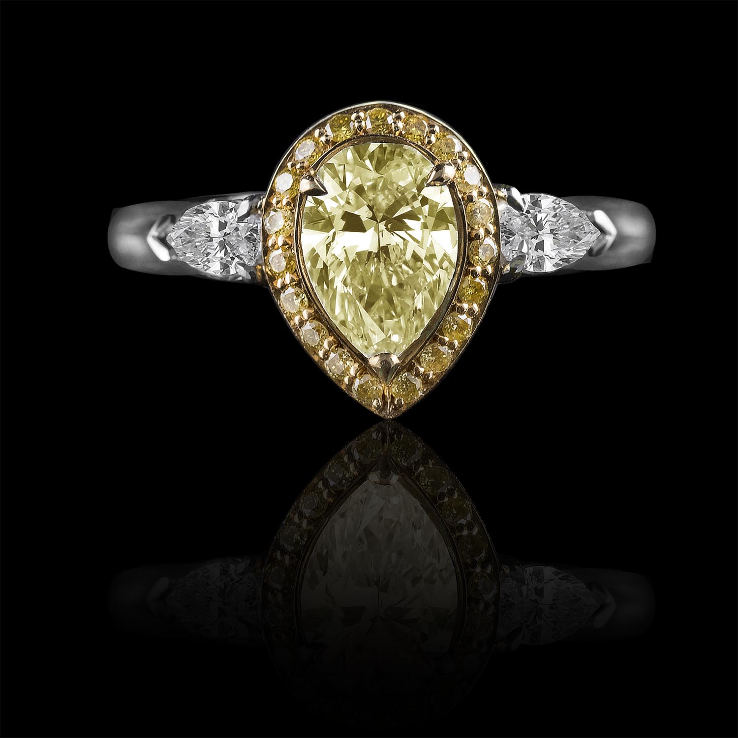 Halo, Platinum Morning Sun Pear