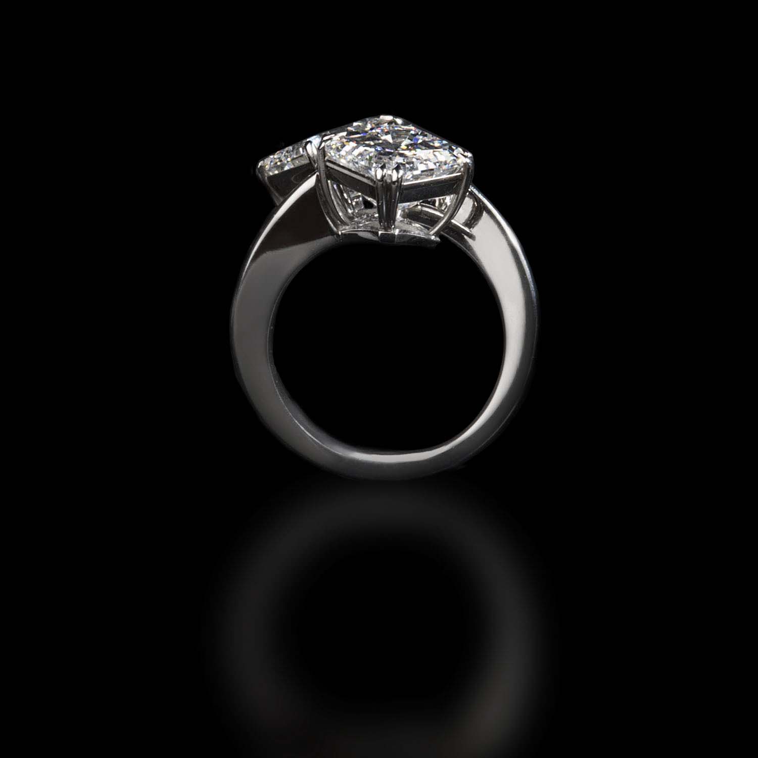 The Moon Ocean Rings in Platinum Alternate shot 2